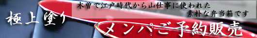 �ɏチ���p