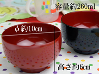 �`�o�傫��