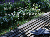 �}�C���܂Ɣ��ؔ��Z�b�g