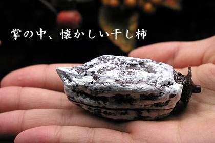 香合干し柿