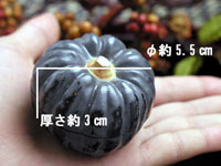 ڂፁ傫